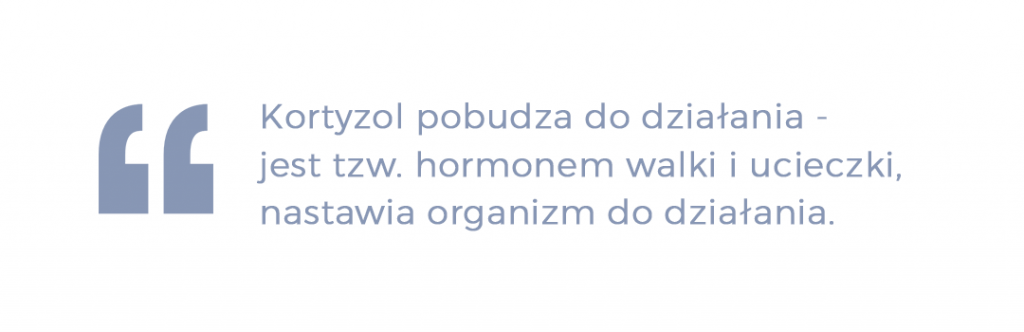 kortyzol pobudza